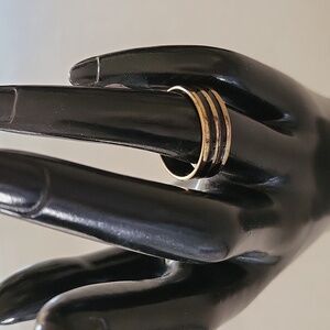 NWOT Stainless Steel Ring